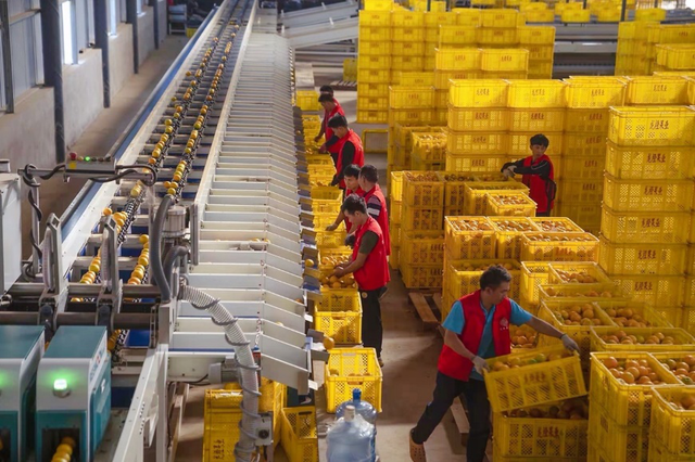 Fast Company发布“十大创新物流供应链公司”榜单，拼多多因创新农产品供应链入选