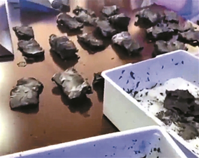 绿韵嗖嗖是不是骗局烧成黑炭的纸钞怎样才能兑换